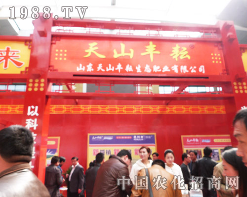 �t�����ɽ�S�� �t���2013�ʝ��r����