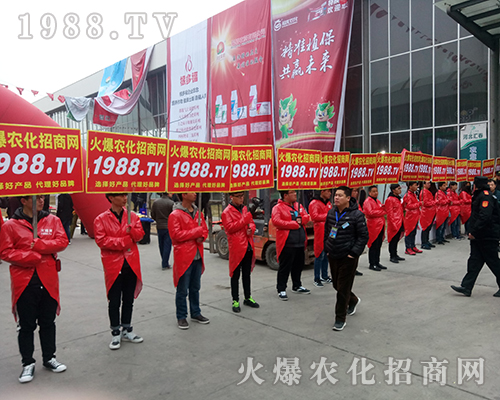 要想火就找我，1988.TV重磅出擊2018河北植保會！