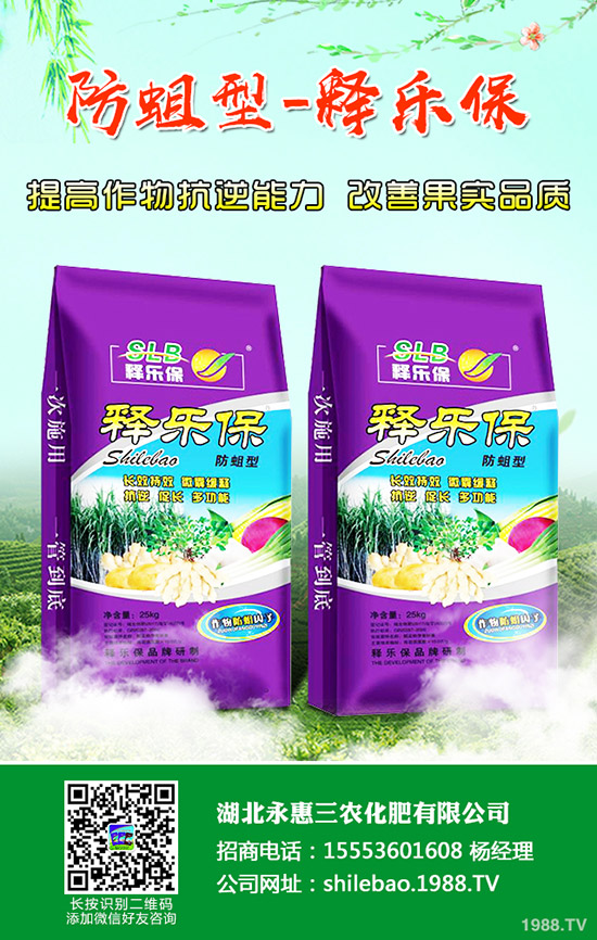 秋冬柑橘得了急性炭疽病怎么辦？柑橘急性炭疽病的發(fā)病原因及防治方法！