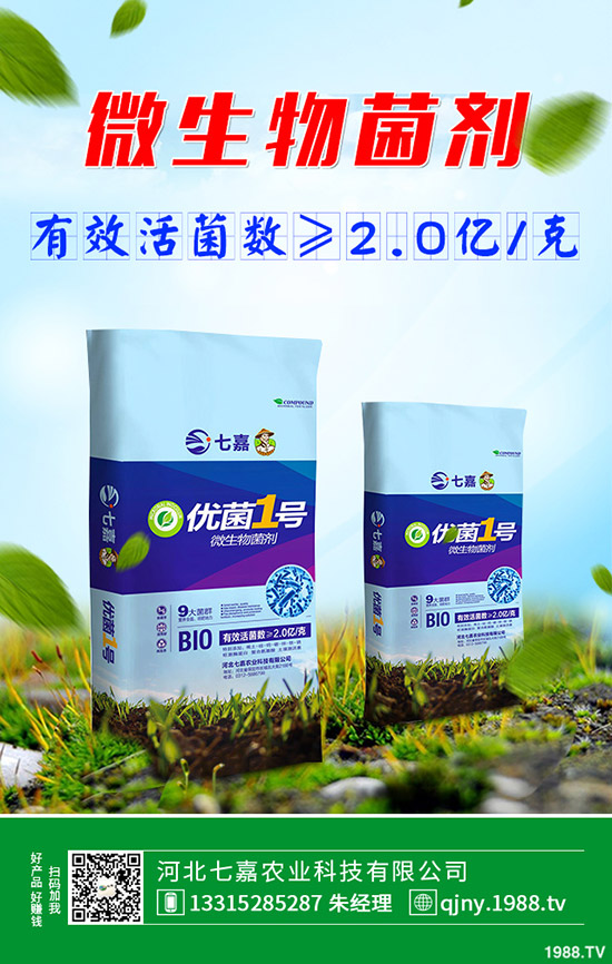 荷蘭豆什么時候種植好，荷蘭豆種植技術(shù)！