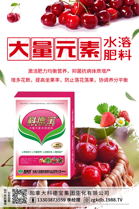 ������(ji��)�N��ᘹ����������������(ji��)��ᘹ�����������