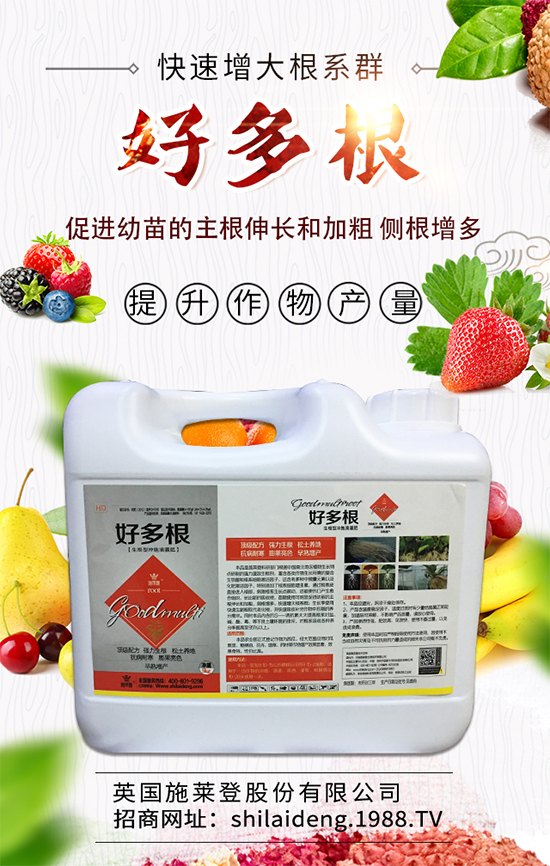 2019��10��12�ս��Շ���(n��i)������������r������������