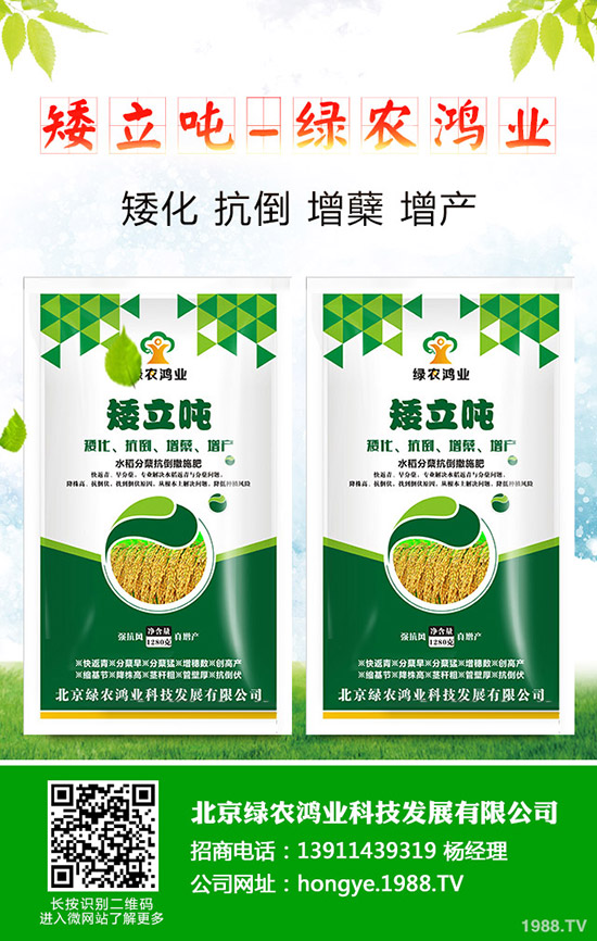 蒜苗的種植方法有哪些，如何才能獲得高產(chǎn)？