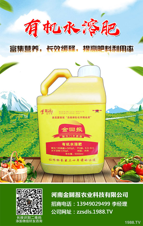 ʮ�·��߲�ԓ��ô������2019��10���߲˷Nֲ����ָ��