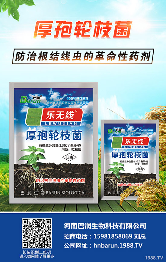 ����÷��ô�B(y��ng)������÷���B(y��ng)ֳ������ע�����(xi��ng)��