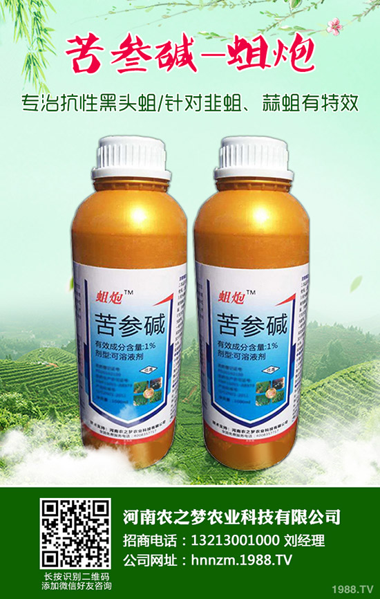 益母草的功效與作用，益母草的使用禁忌！