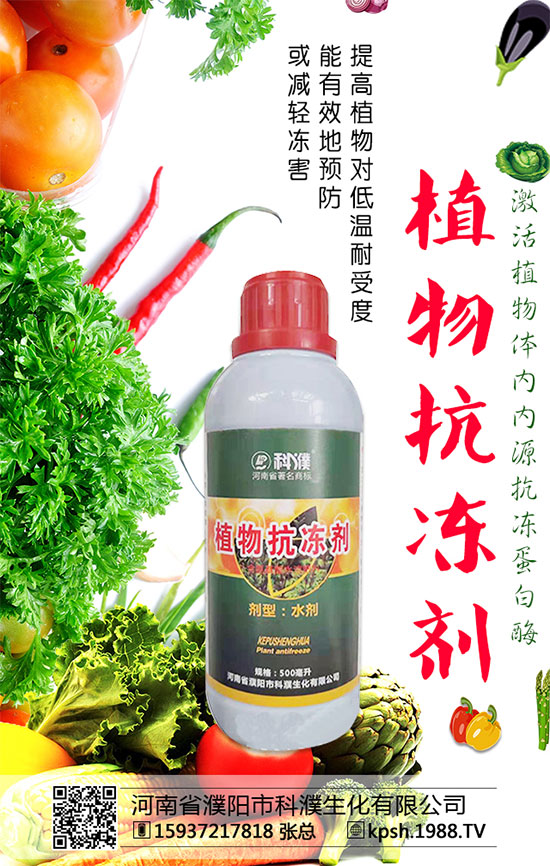 �������x(ch��ng)���r(ji��)��