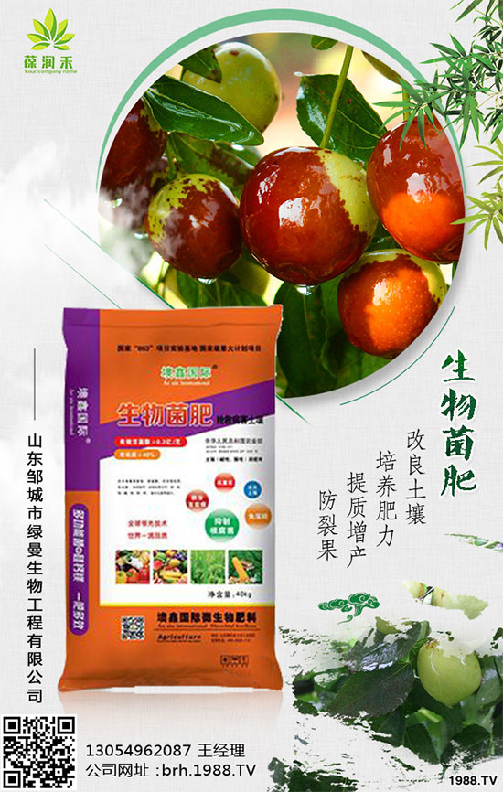 大棚西紅柿怎么栽培？大棚西紅柿高產(chǎn)栽培！