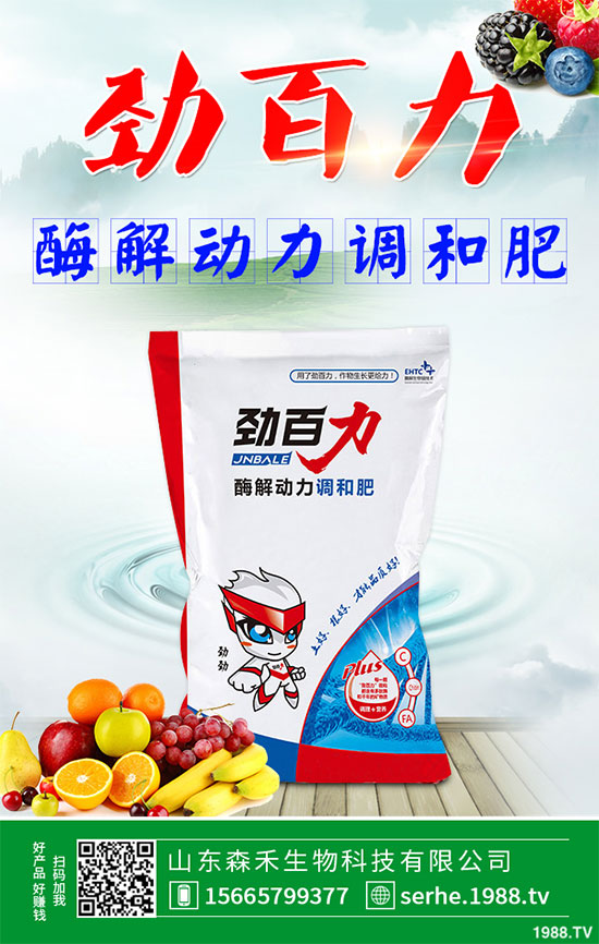 小白菜該怎么播種？秋茬小白菜高產(chǎn)栽培技術