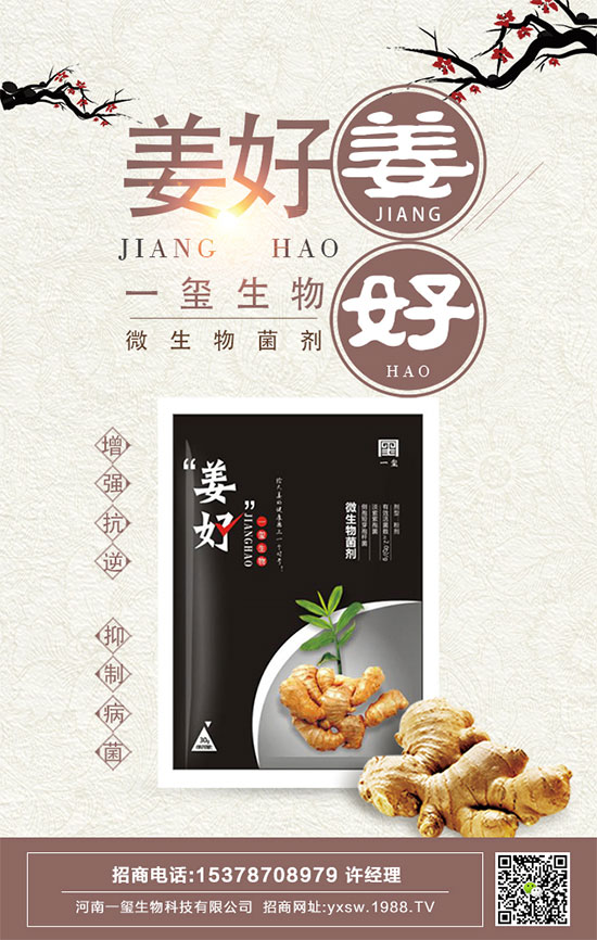 茄子的功效與作用，茄子的營養(yǎng)價值