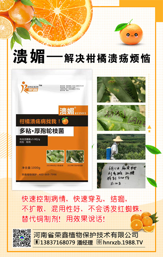 菠菜的營養(yǎng)價(jià)值，吃菠菜的好處有哪些？