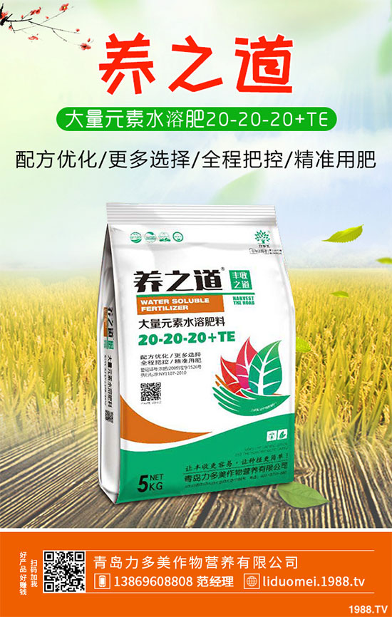 白菜白銹病危害這么大，到底該如何防治？白菜白銹病防治措施