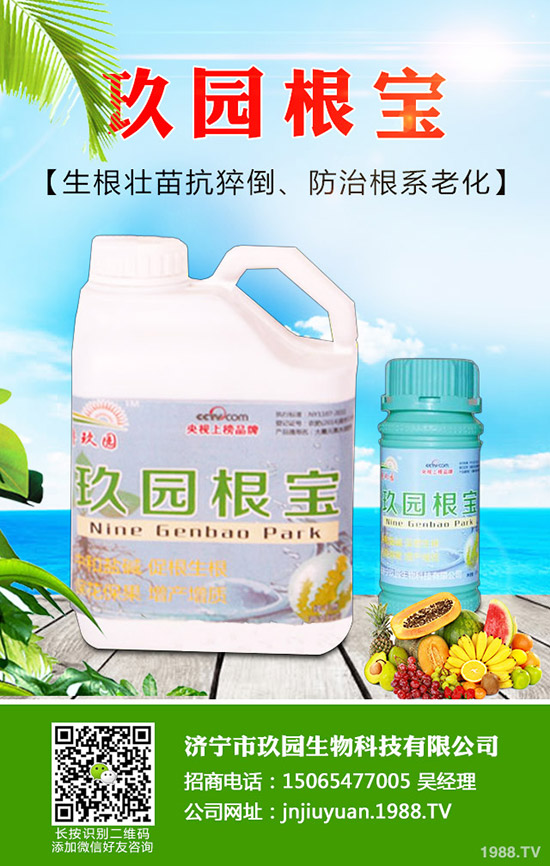 菠菜蚜蟲如何防？菠菜蚜蟲的危害及發(fā)生規(guī)律！