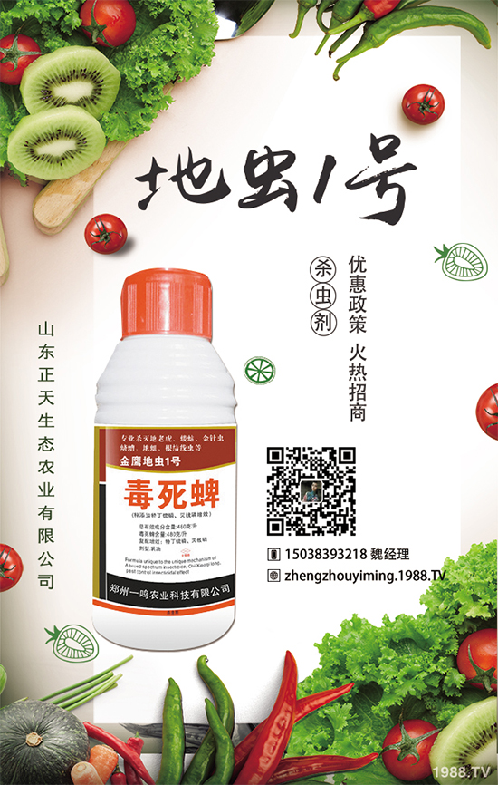 櫻桃蘿卜如何種植，櫻桃蘿卜需要注意什么？