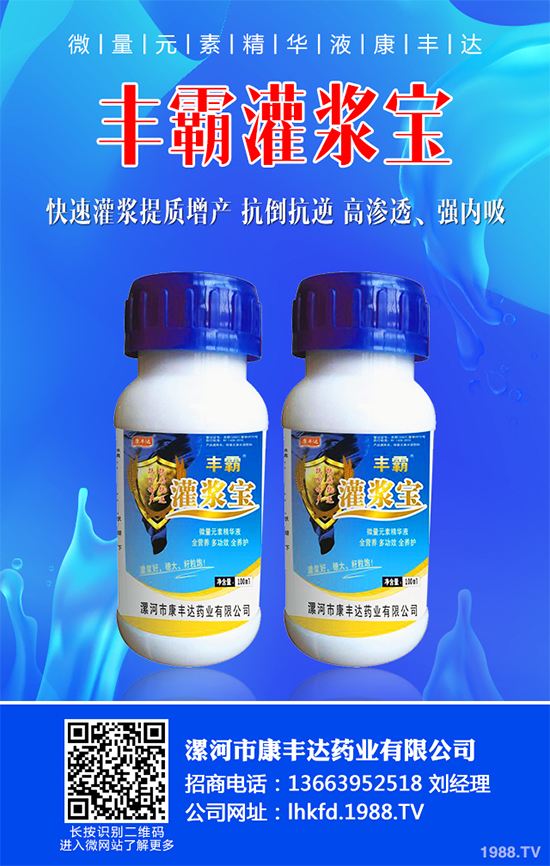 白菜黑斑病有哪些危害癥狀？白菜黑斑病的發(fā)生與防治