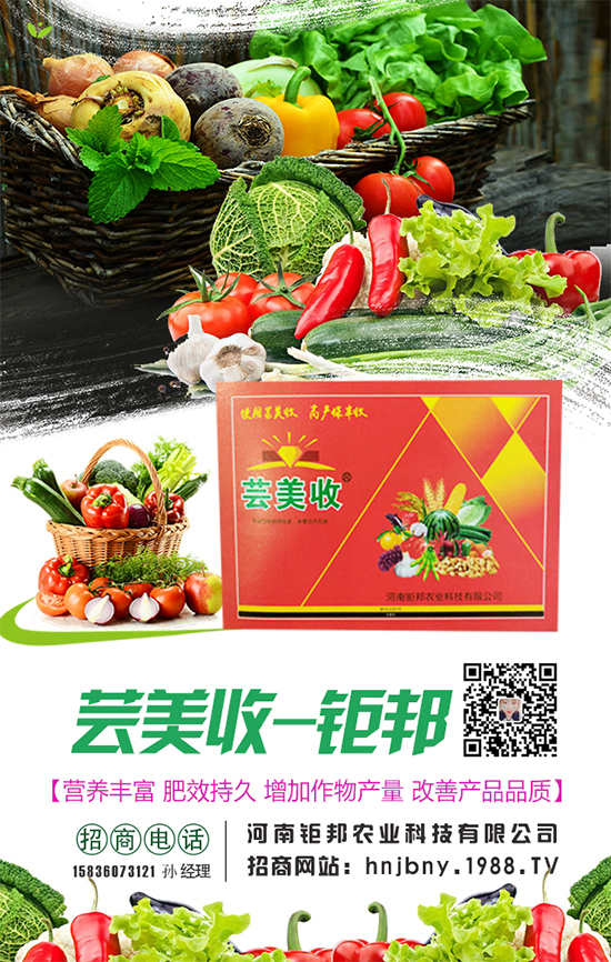 櫻桃蘿卜生長對環(huán)境條件要求，櫻桃蘿卜怎么施肥？