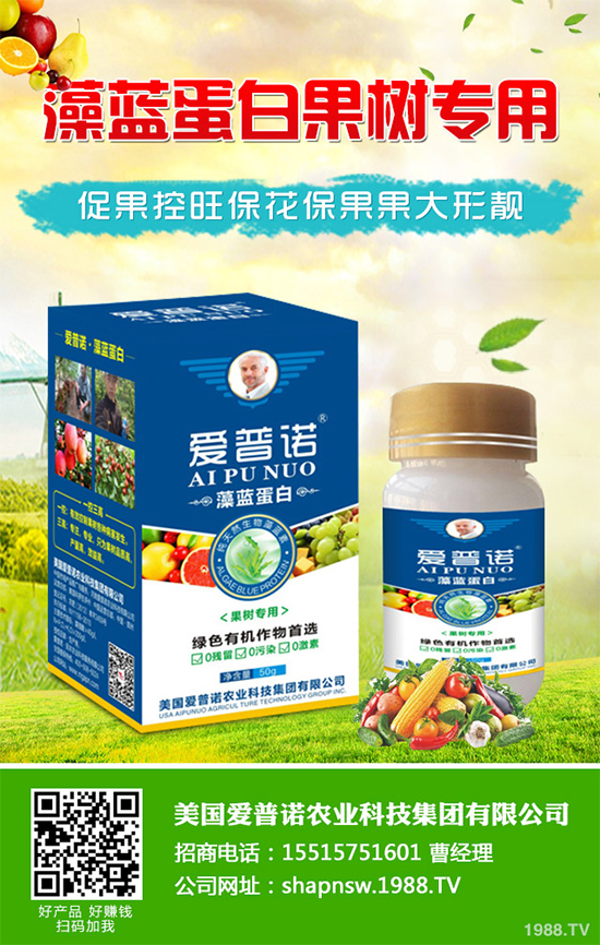 白菜黑斑病有哪些危害癥狀？白菜黑斑病的發(fā)生與防治