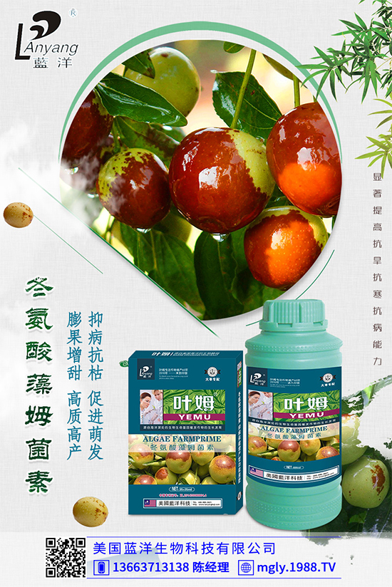 白菜軟腐病是如何引起的？有哪些危害？白菜軟腐病的發(fā)生與防治