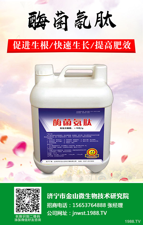 天冬怎樣種植，天冬高產(chǎn)管理技術(shù)！