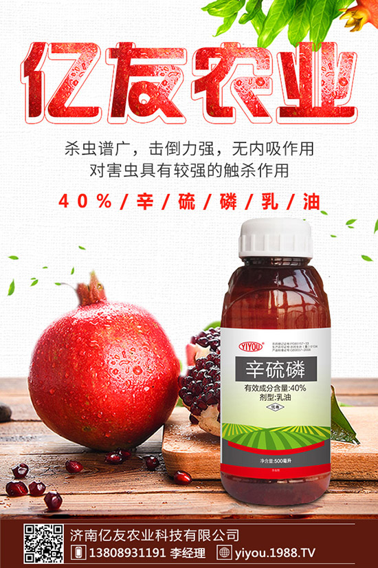 �D÷�N����ô�N���D÷�N�ӷNֲ������