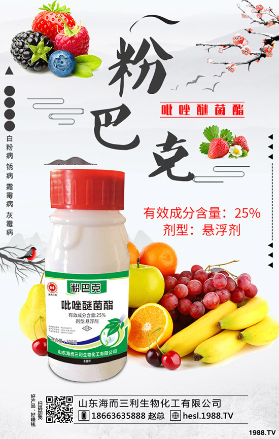 2020年蘆筍種植前景怎么樣？蘆筍如何種植？