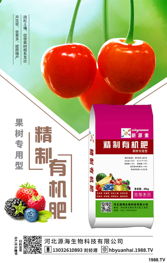 2020���㹽�Nֲǰ����Σ�2020���㹽�Nֲٍ�X����