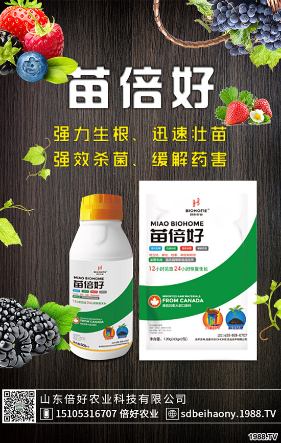 С�����N�󲻳����������ԭ����������С��������?