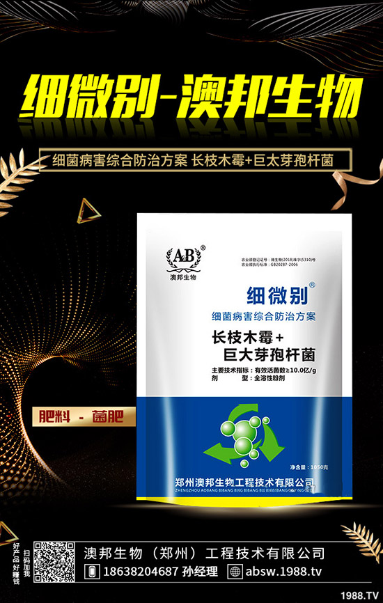 水蜜桃在什么季節(jié)種植，水蜜桃的種植技術(shù)！