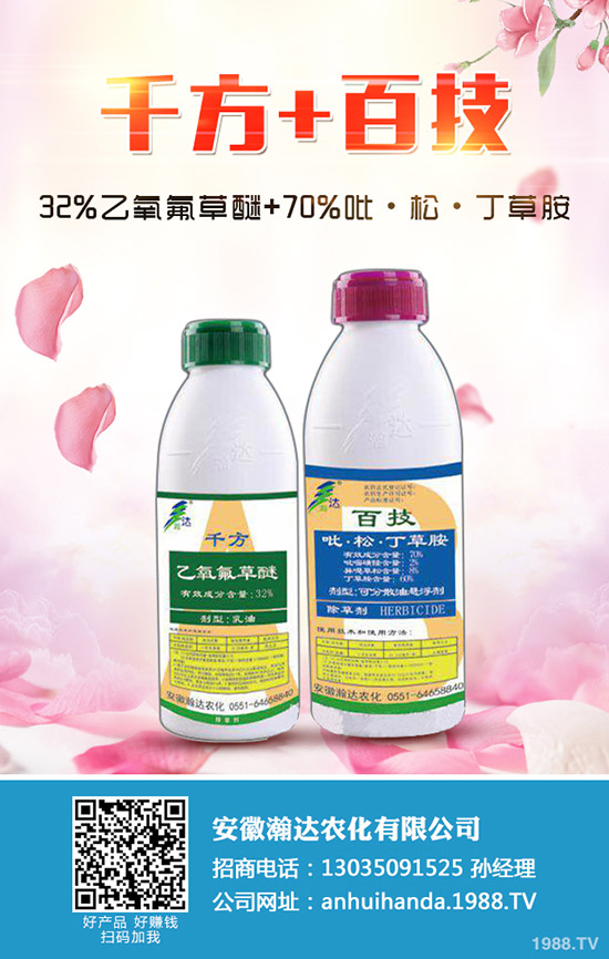 冬季馬鈴薯怎么種？冬季馬鈴薯栽培要點！