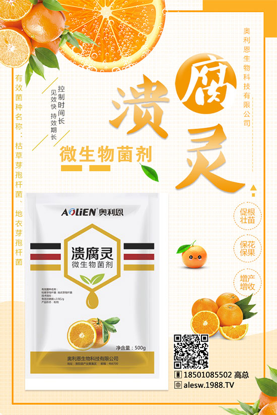 甘蔗什么時(shí)候種？甘蔗種植技術(shù)及種植條件