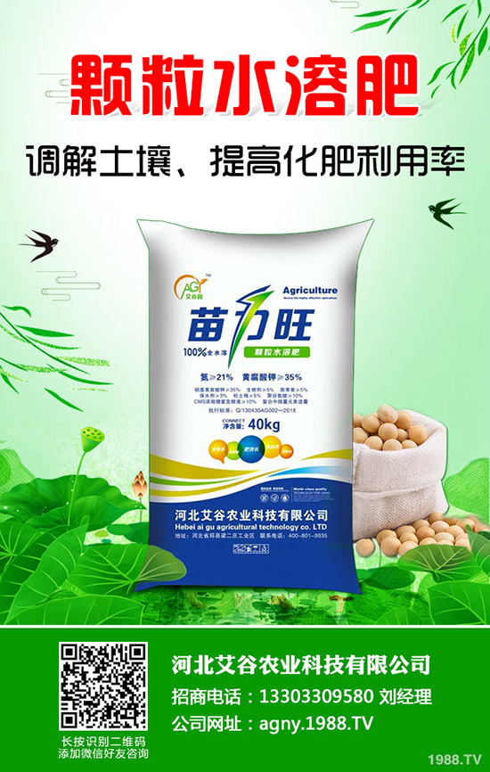 大蒜灰霉病怎樣防治，大蒜灰霉病的癥狀及防治！