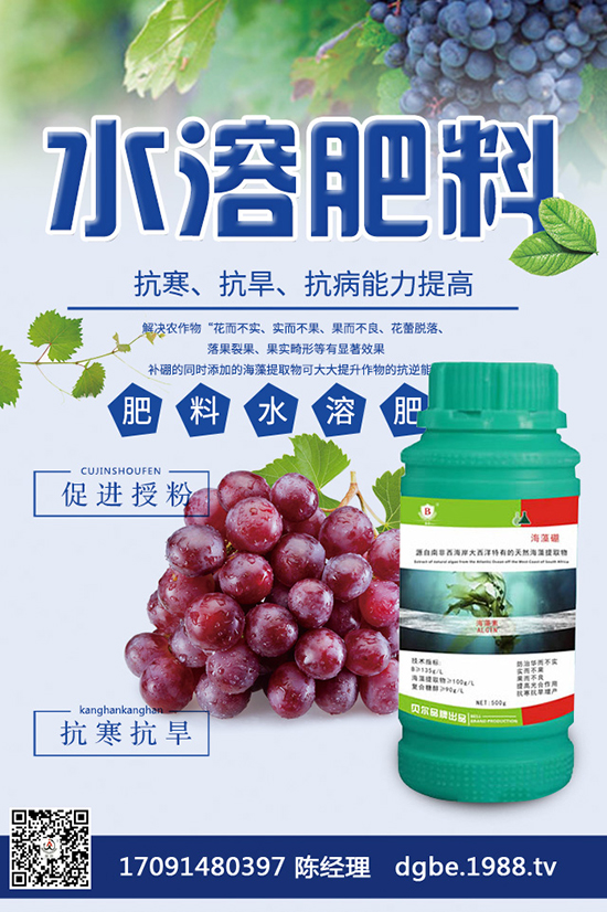 芒果怎么種才好？芒果高產(chǎn)種植技巧！