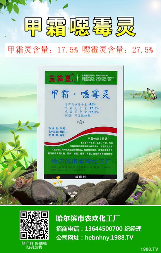 冬瓜得了白粉病怎么辦？冬瓜白粉病防治措施！