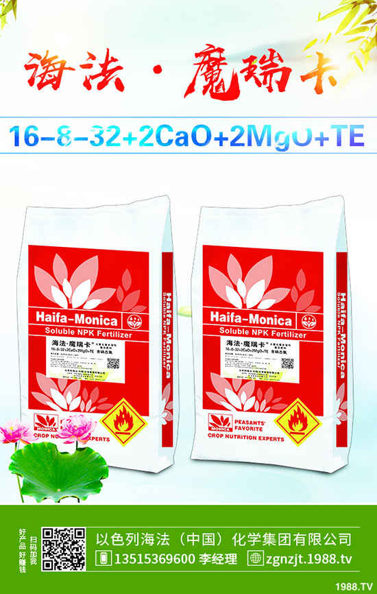     2019年10月31日今日國內(nèi)二銨價格走勢及交易日評
