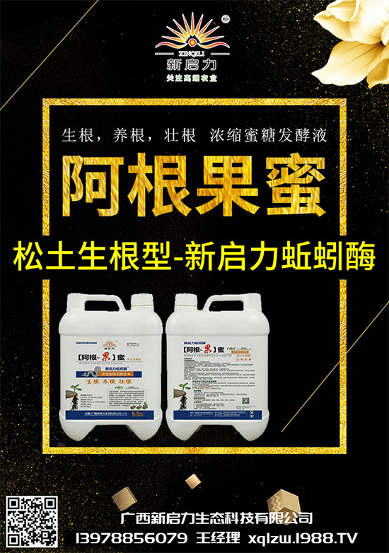 甘藍(lán)黑脛病有哪些危害？秋甘藍(lán)病害的發(fā)生與防治技巧