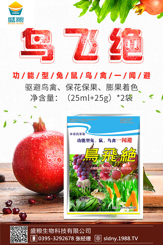 大棚西紅柿如何授粉？大棚西紅柿授粉方法有哪些？