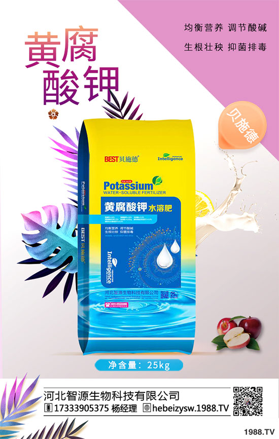 ����ը���ӷNֲ�����¹����༼�g(sh��)��