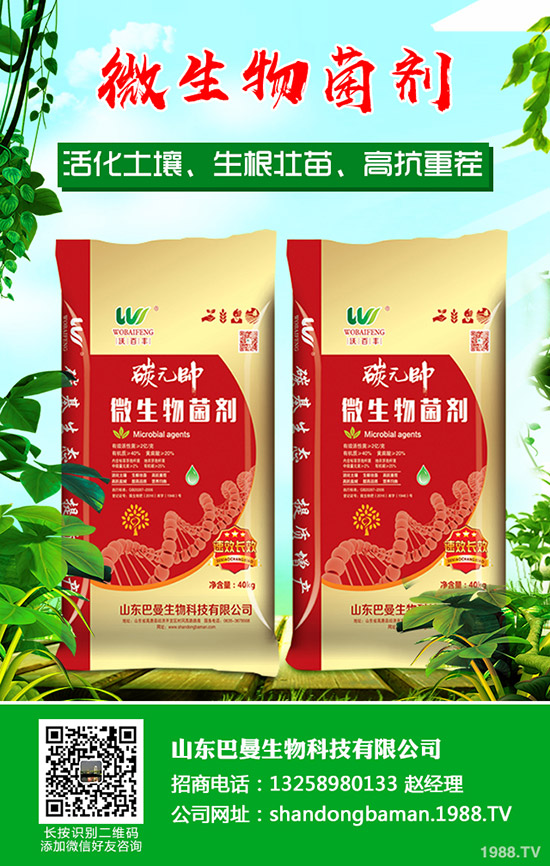     國內(nèi)磷酸價格下滑！2019年11月1日二銨今日最新行情分析！