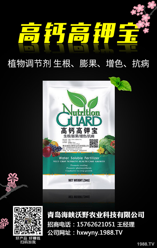 磷銨價格跌勢放緩！2019年11月12日國內(nèi)磷銨價格分析！