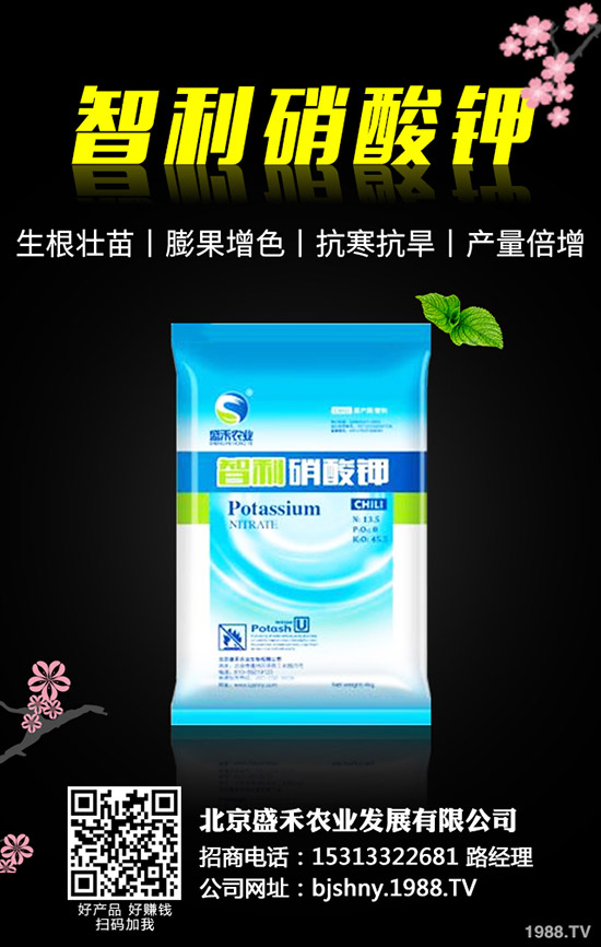 �ڶ�ʲô�r(sh��)��Nֲ���ڶ��ķNֲҪ�c(di��n)����Щ��