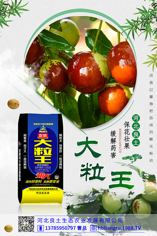 甜瓜落花落果原因有哪些？甜瓜如何提高座果率？