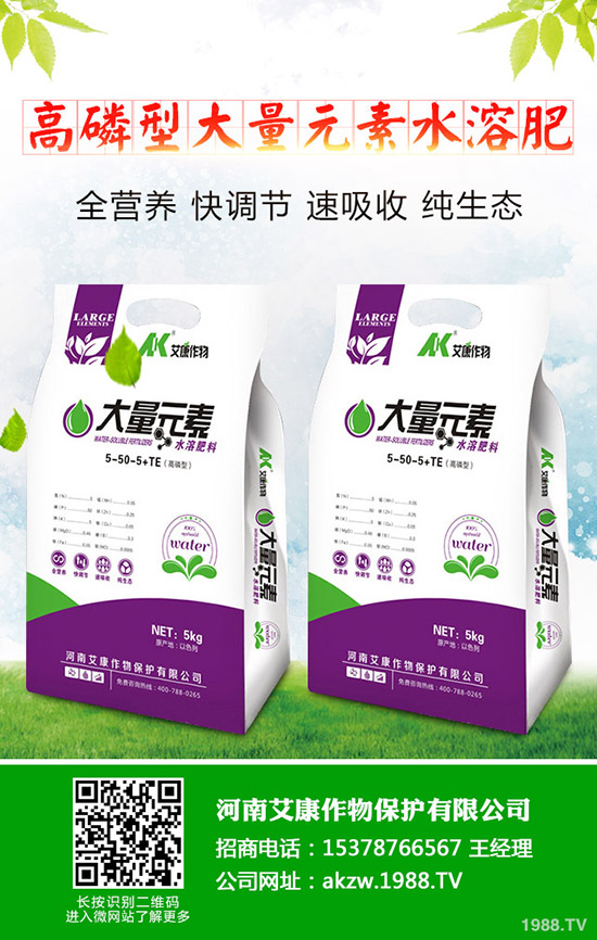 尿素價格何時上調？今日最新尿素行情走勢分析2019-11-13