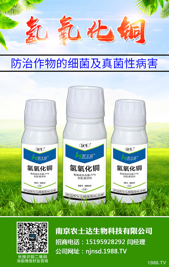 種植高產(chǎn)黑苦瓜應掌握哪些方法？黑苦瓜的高產(chǎn)管理