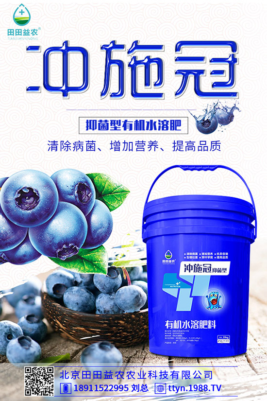 南瓜什么時(shí)候種植，南瓜的種植要點(diǎn)有哪些？