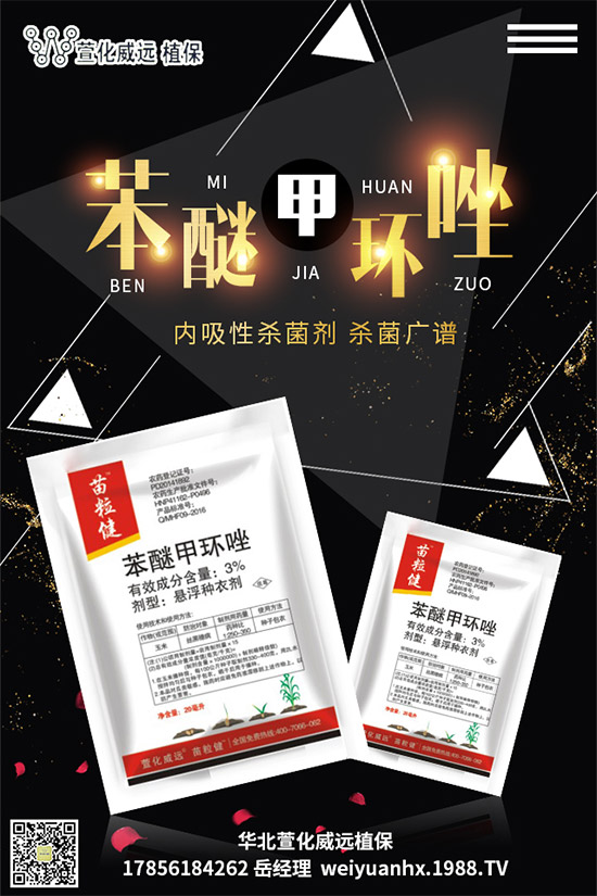     â���������r��