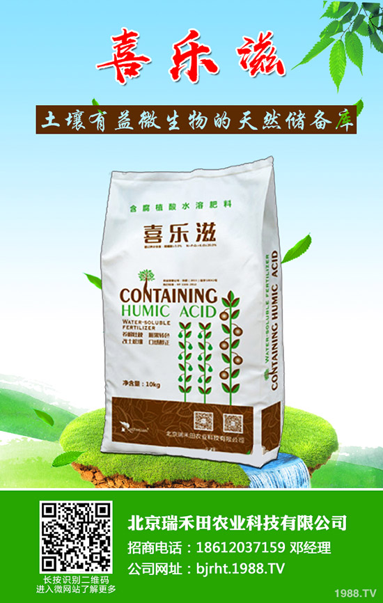 怎樣才能種好豆角呢？豆角的種植管理技巧！