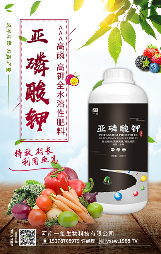 ���Ҙ��ʲô���Y(ji��)�������Ҙ䲻�Y(ji��)����(sh��)�ĵĽ�Q������