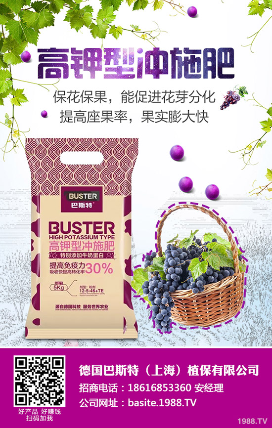 西葫蘆為什么會(huì)化瓜，西葫蘆化瓜原因及防治匯總！