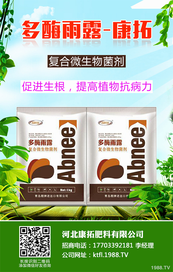 11�·��r(n��ng)�°�������Щ��2019�ﶬ�߲˷Nֲָ��