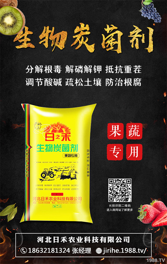 ���[��ֲ�������ˆ������[��ֲ����ֲ���������